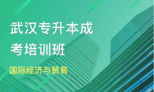 武漢成考專升本國際貿易與經濟專業選擇指南 領航時代與淘學培訓深度解析